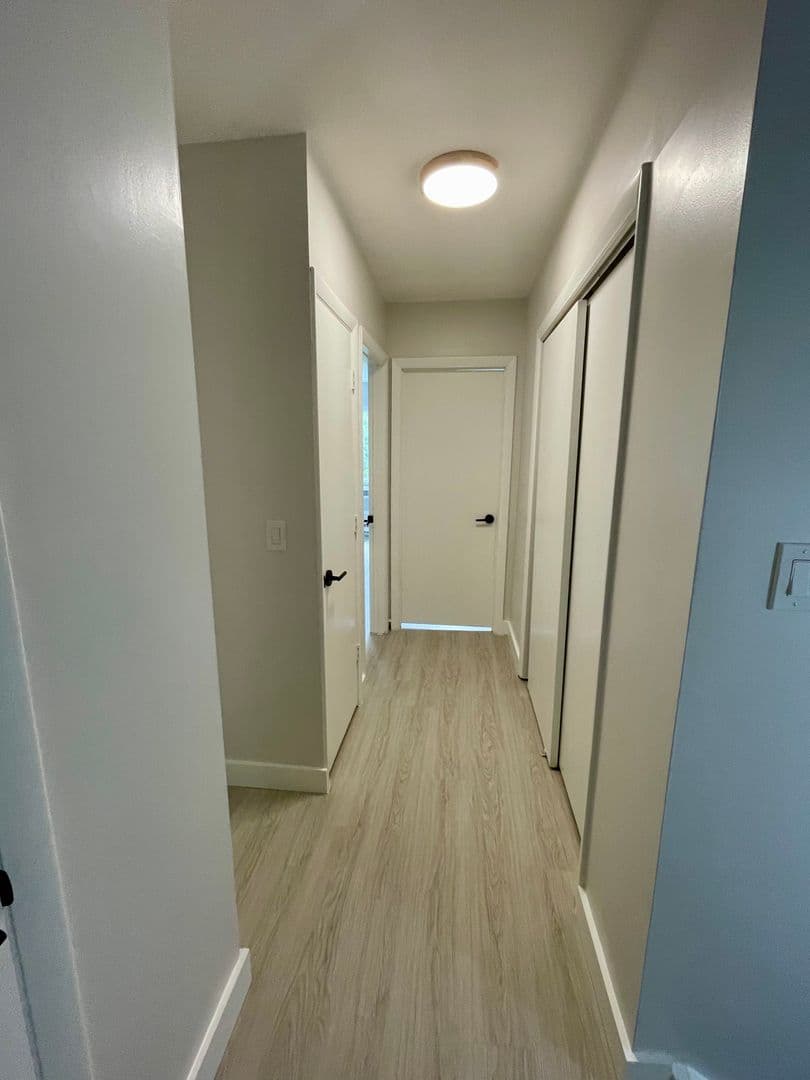 Waterbury Apartment: 222 Bradley Avenue