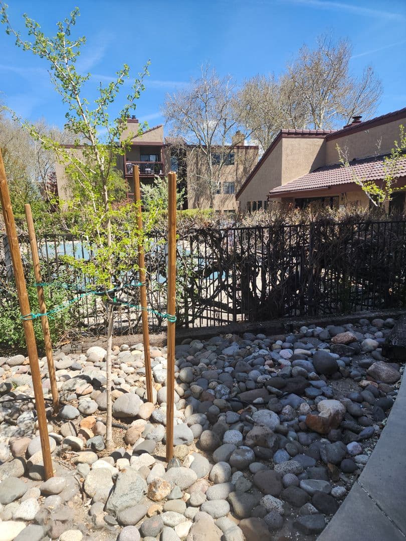 Reno House: 1000 Beck St. Apt 176