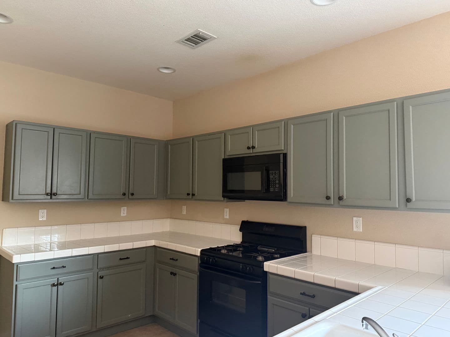 Reno House: 1295 Whistler Ct