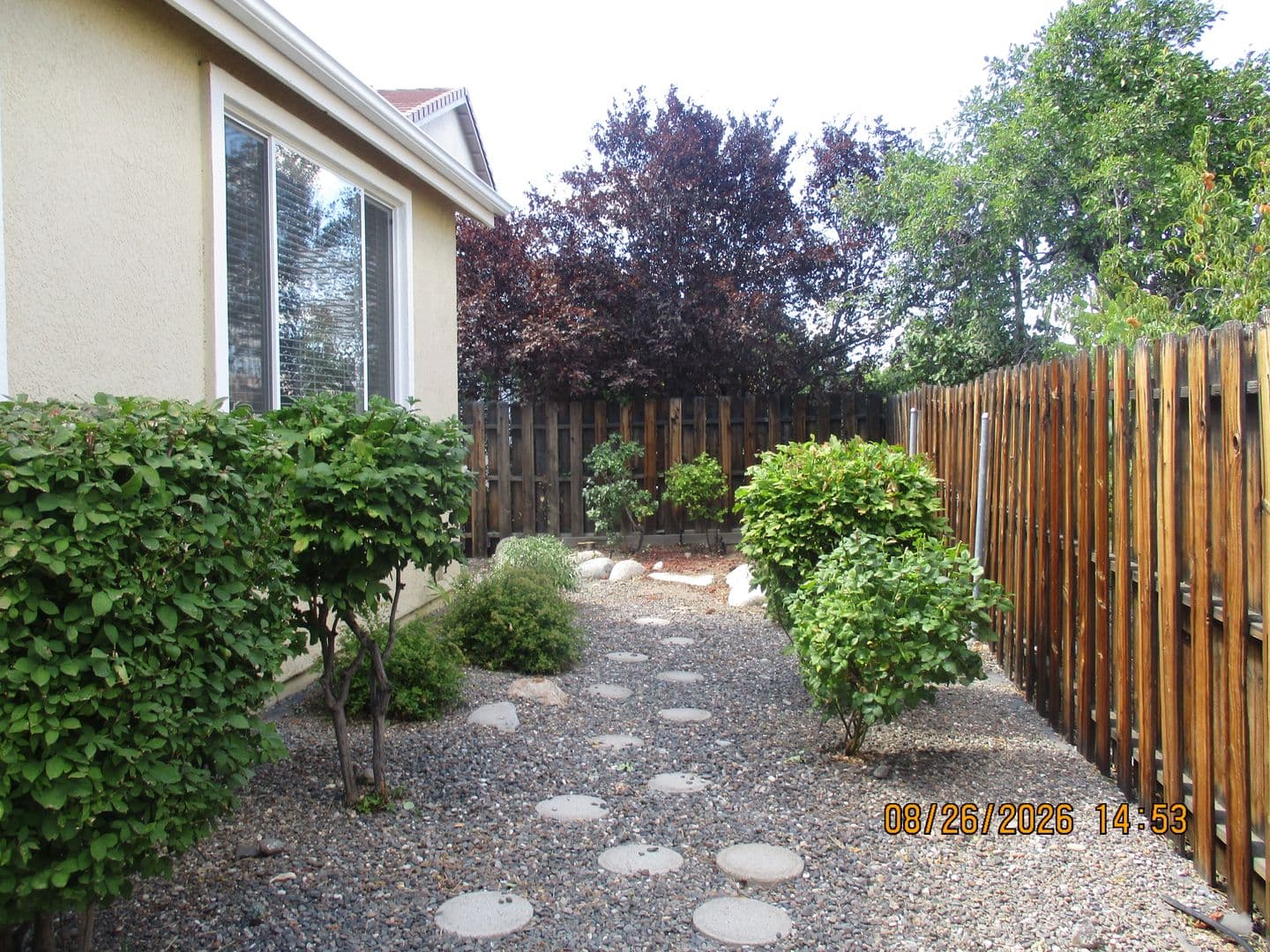 Reno House: One Time - Deer Pass 4890