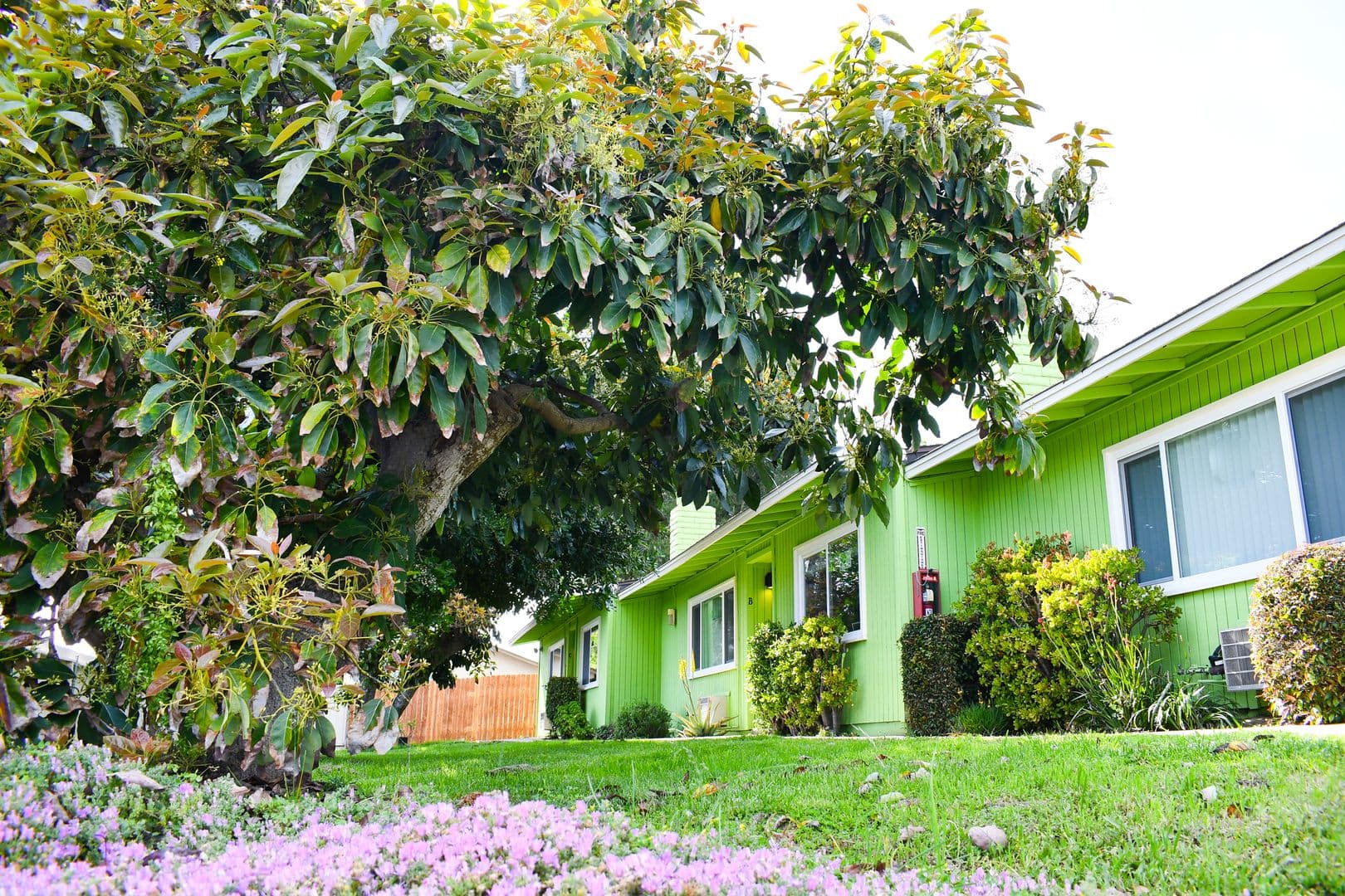Fallbrook Apartment: 302-338 E. Fallbrook St