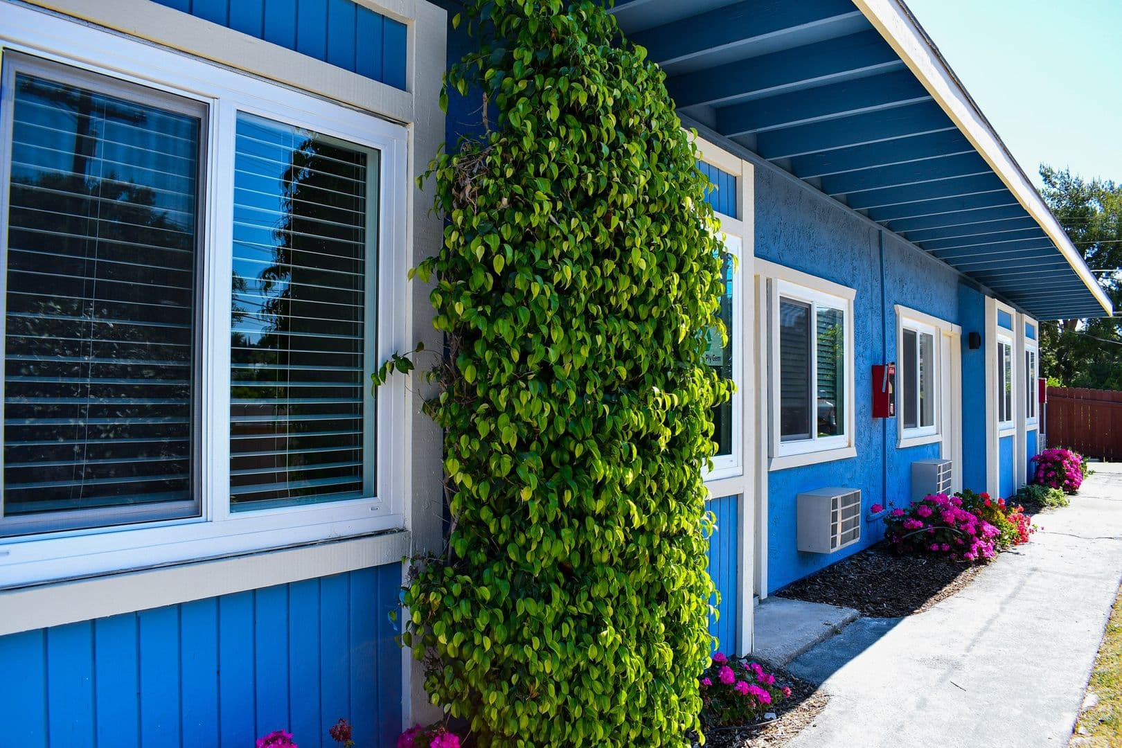 Fallbrook Apartment: 302-338 E. Fallbrook St