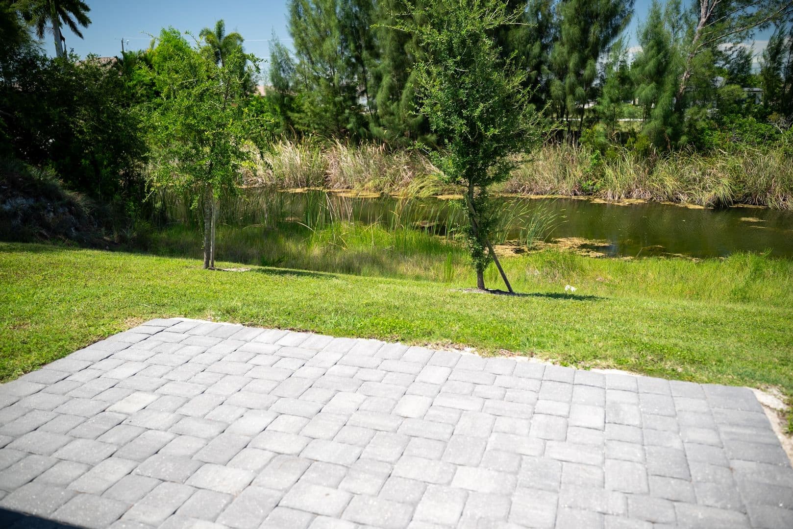 Cape Coral House: 1729 NW 20th Ter