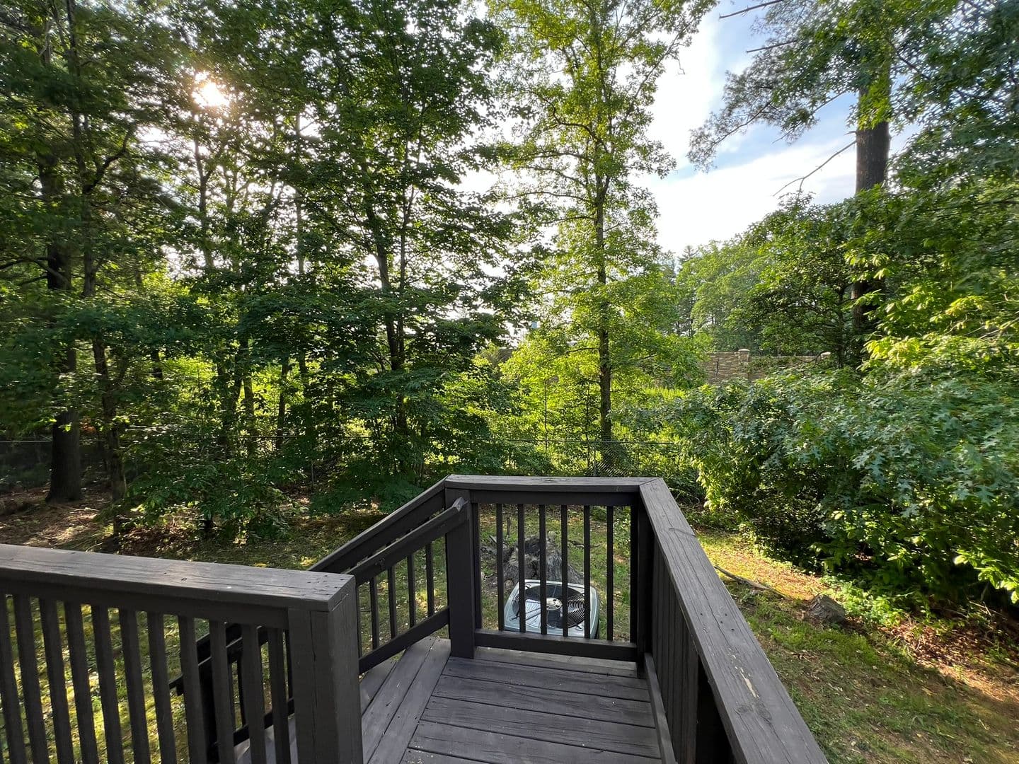 Arden Townhome: 14 Pepperbrush Trail
