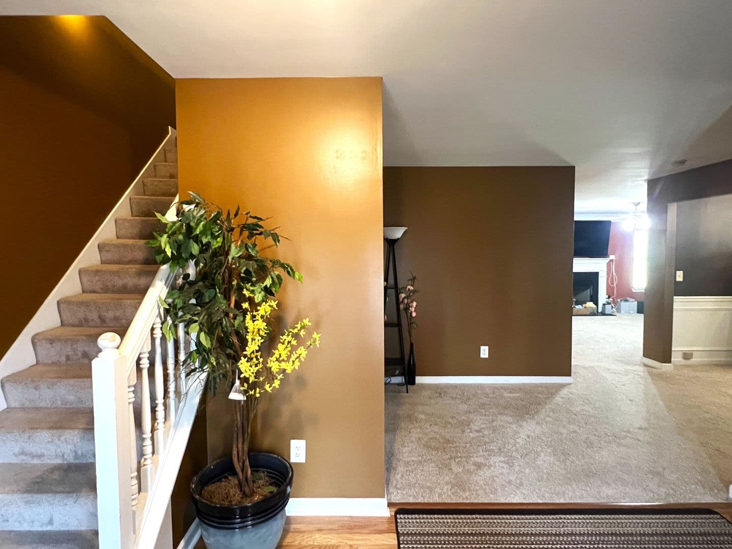 Hampton House: 11050 Shadow Creek Terrace