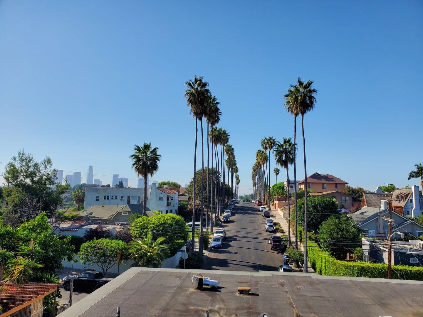 Los Angeles Apartment: 1491 Scott Ave