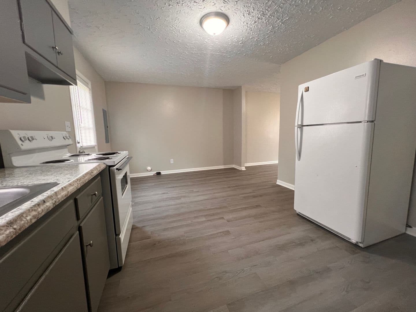 Livingston Apartment: 900 Preston Street - D