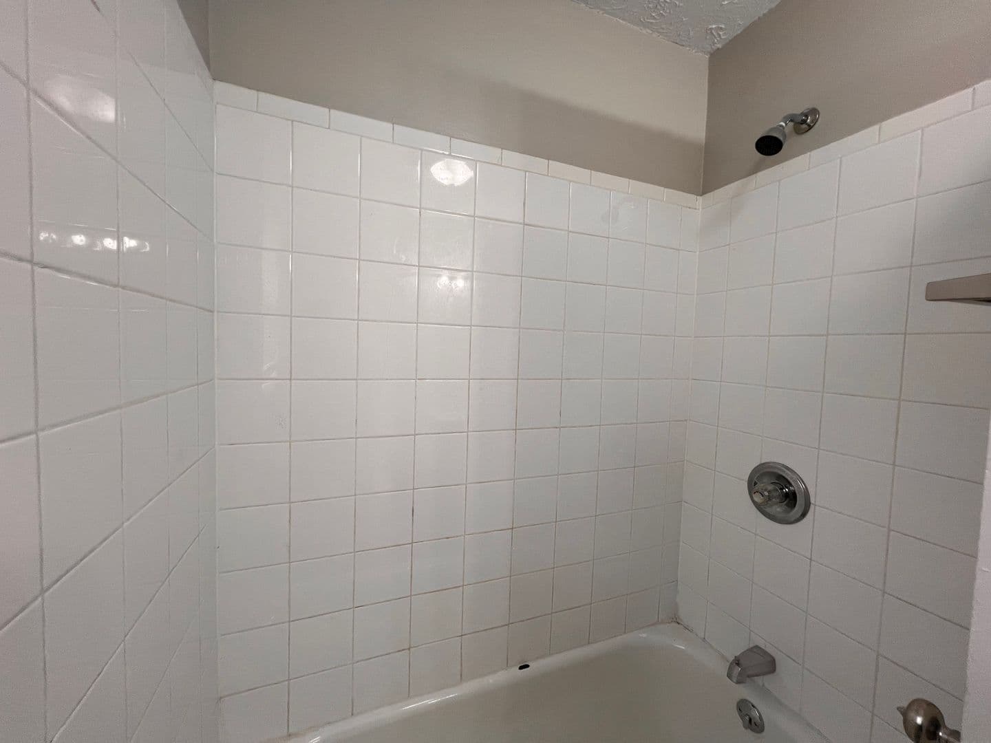 Livingston Apartment: 900 Preston Street - D