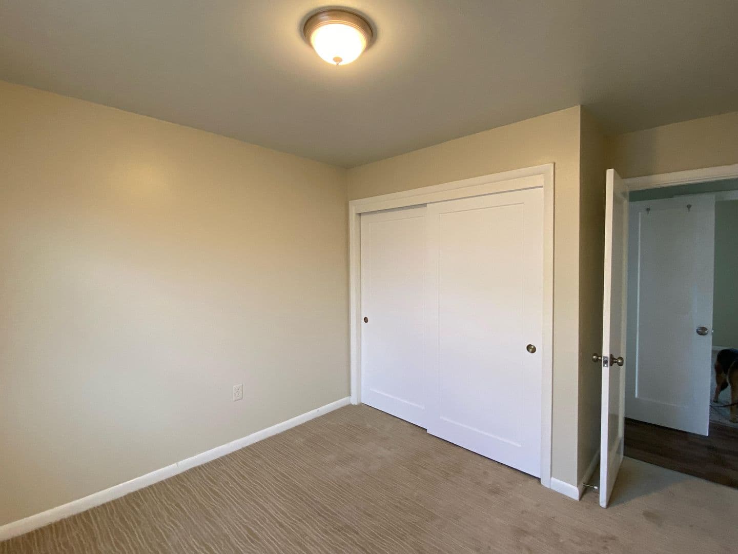 Klamath Falls Apartment: 409 Richmond Street