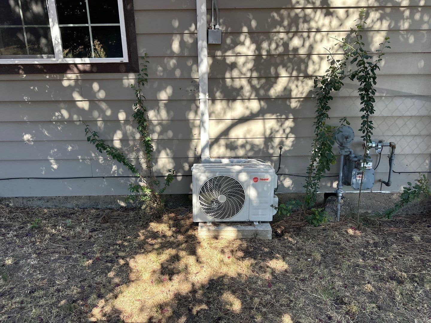 Klamath Falls House: 243 Nevada St