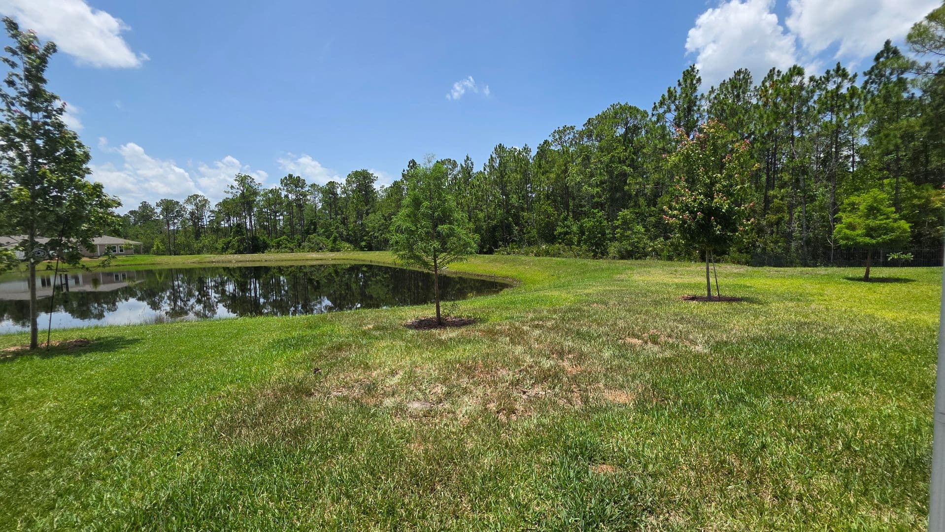 Bunnell House: 868 Grand Reserve Dr