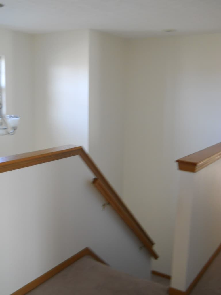 Troy Apartment: Shamrock Lane