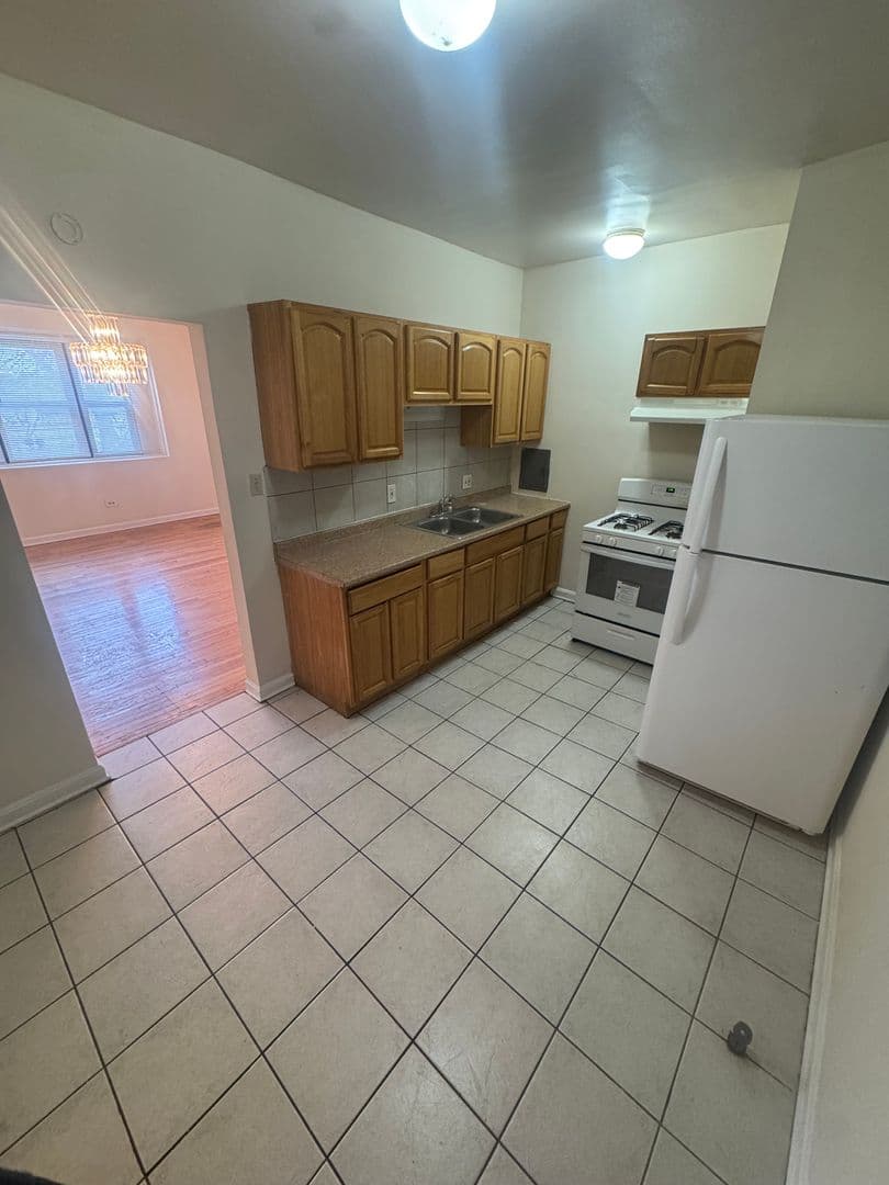 Chicago Apartment: 3100-08 W. Douglas Blvd & 1344 S. Albany Ave