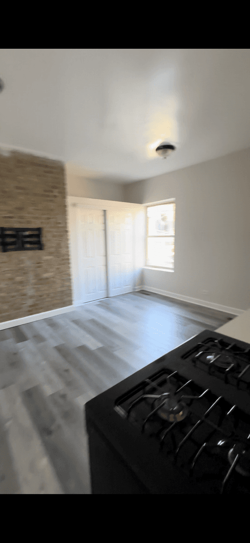Chicago Apartment: 3001-09 W. 19th St