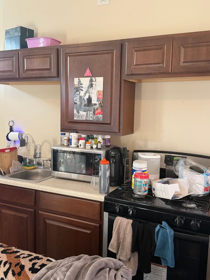 Chicago Apartment: 3001-09 W. 19th St