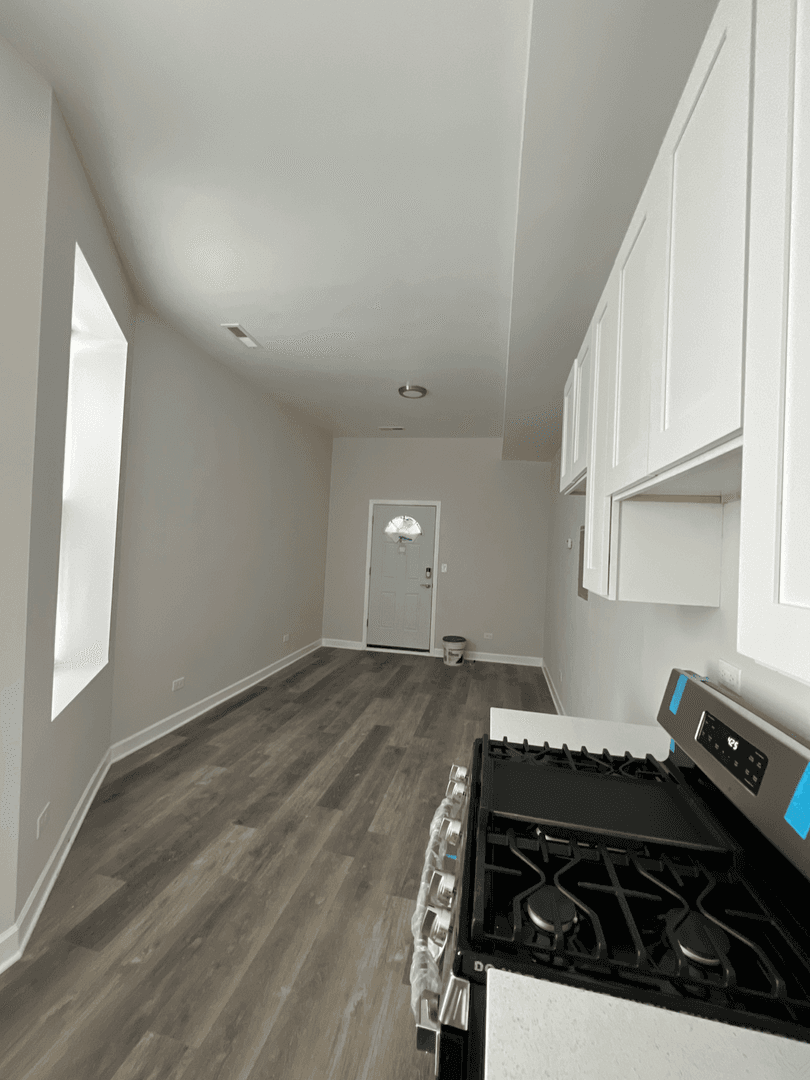 Chicago Apartment: 2017 S. Throop St