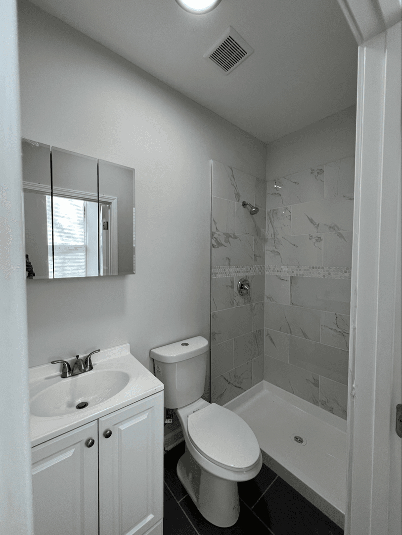 Chicago Apartment: 2017 S. Throop St