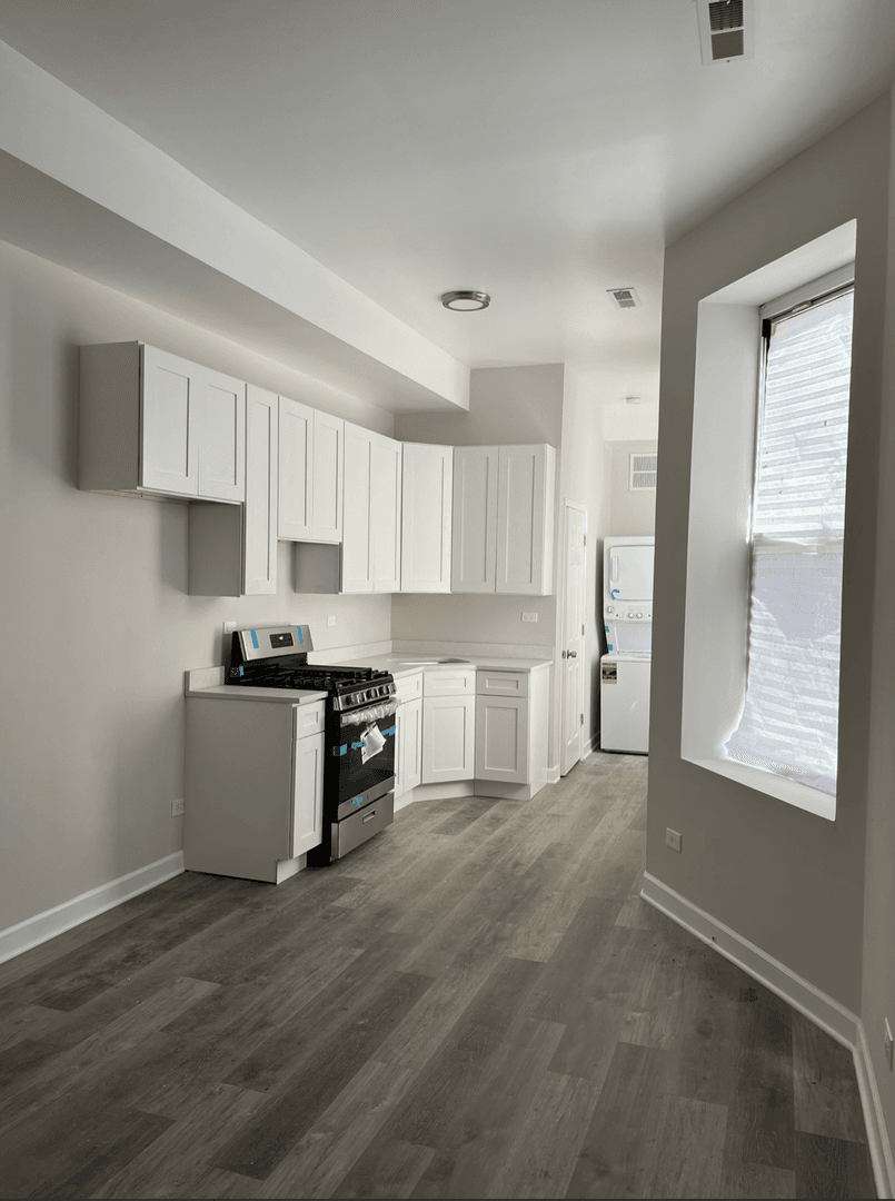 Chicago Apartment: 2017 S. Throop St
