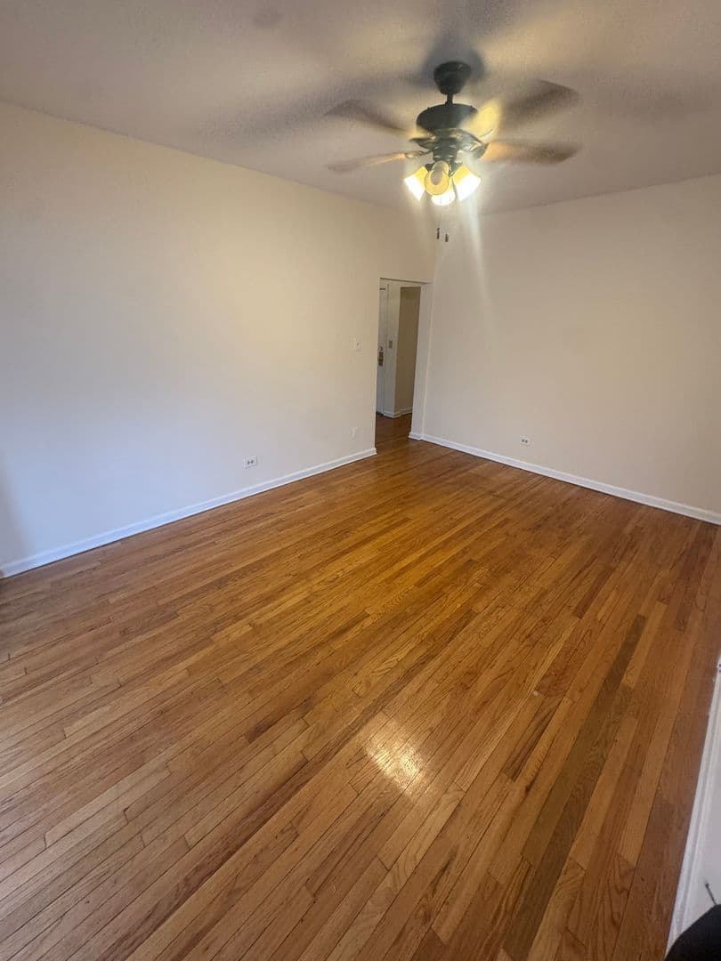 Chicago Apartment: 3100-08 W. Douglas Blvd & 1344 S. Albany Ave