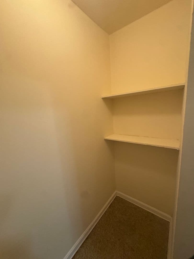 Chicago Apartment: 3100-08 W. Douglas Blvd & 1344 S. Albany Ave