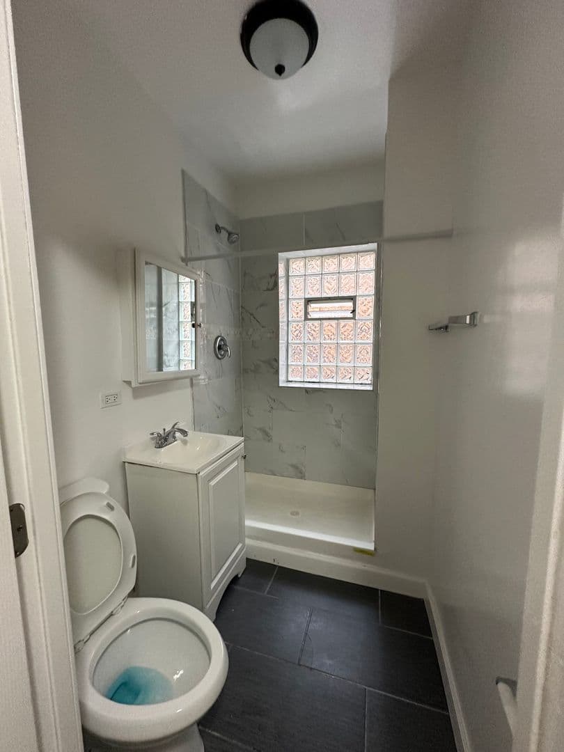 Chicago Apartment: 3001-09 W. 19th St