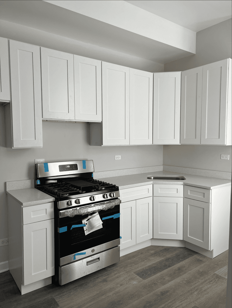 Chicago Apartment: 2017 S. Throop St