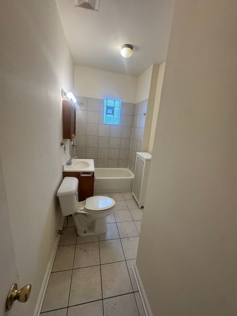 Chicago Apartment: 3100-08 W. Douglas Blvd & 1344 S. Albany Ave