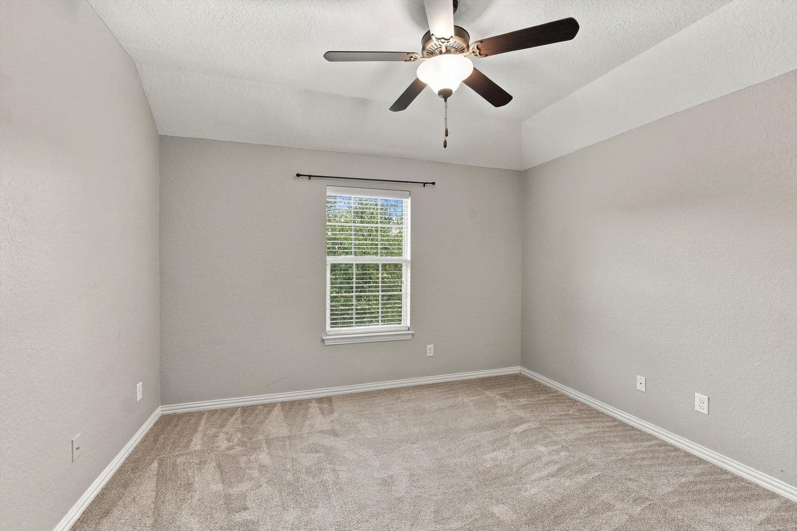 San Antonio House: 3834 Ox-Eye Daisy