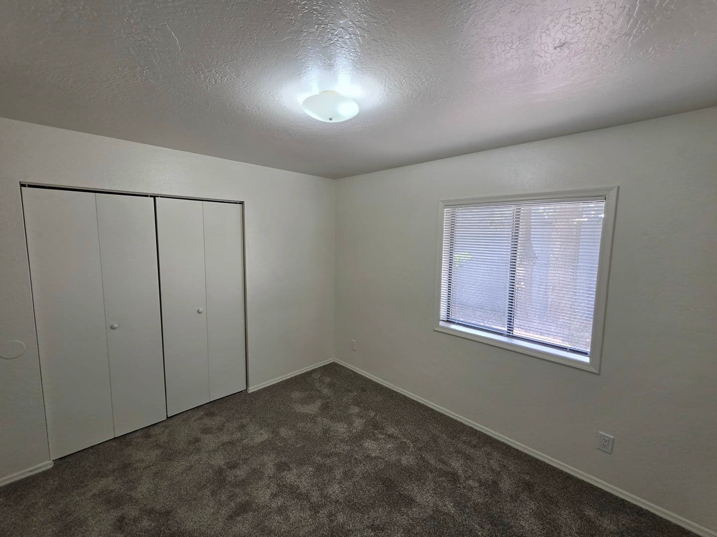 Flagstaff Apartment: 1719 N. East St.