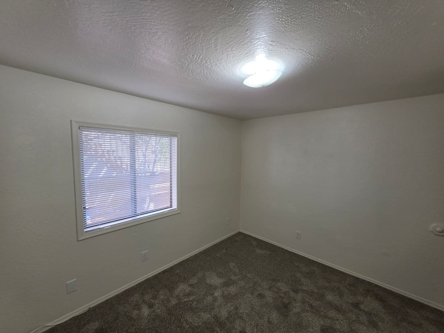 Flagstaff Apartment: 1719 N. East St.