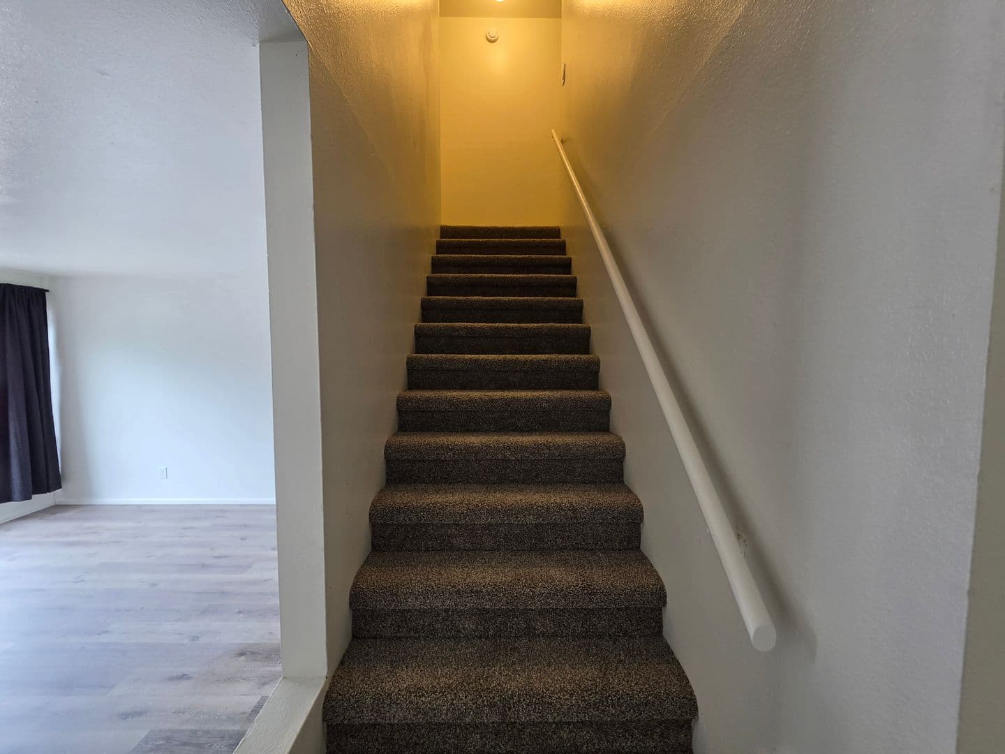 Flagstaff Apartment: 3122 N Monte Vista Drive