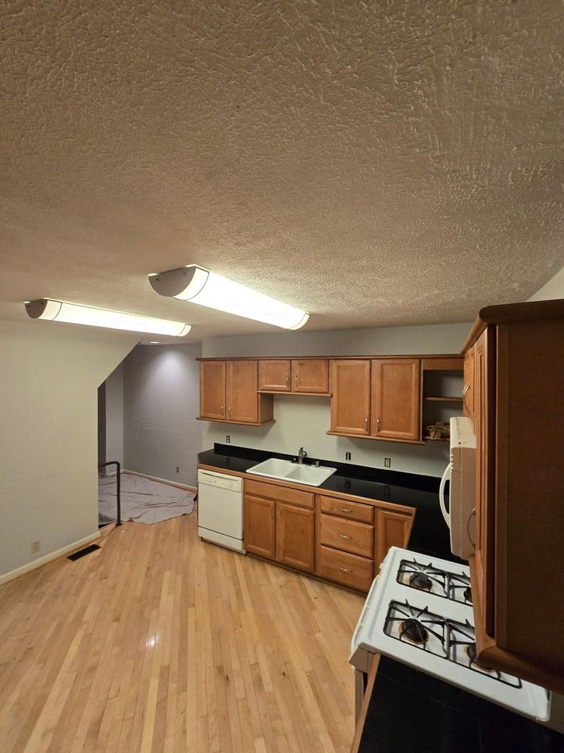 Pittsburgh Apartment: 203 Grandview Ave