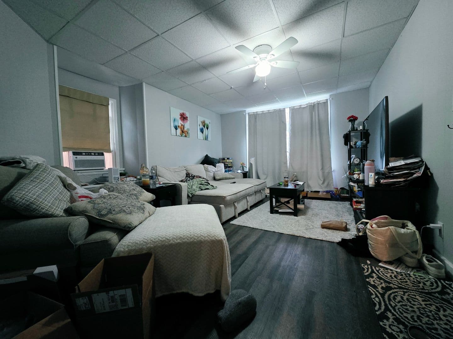 Pittsburgh Apartment: 43 S Fremont Ave