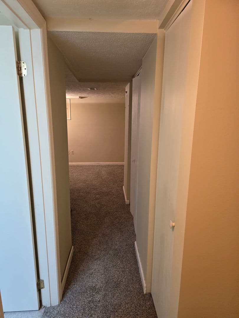 Pittsburgh Apartment: 203 Grandview Ave