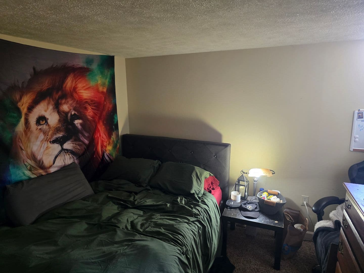 Pittsburgh Apartment: 203 Grandview Ave