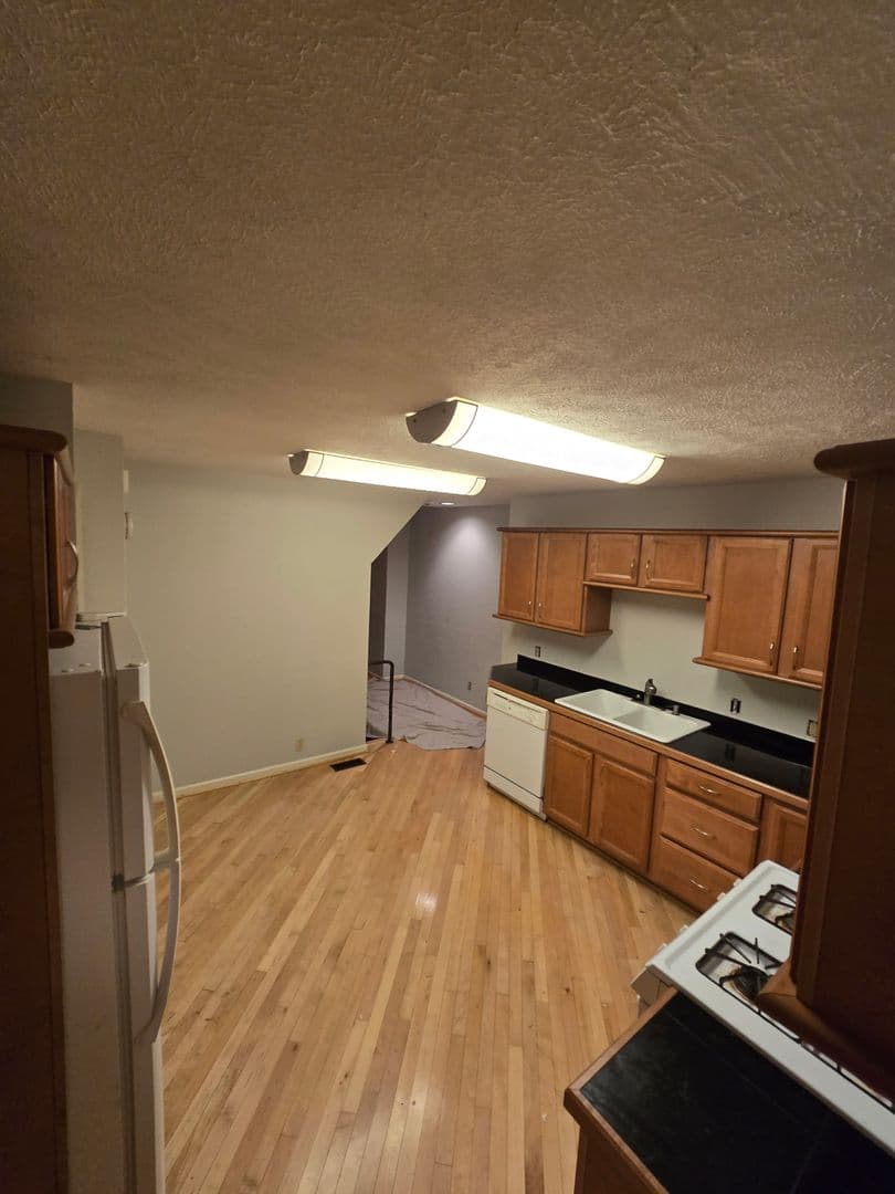 Pittsburgh Apartment: 203 Grandview Ave