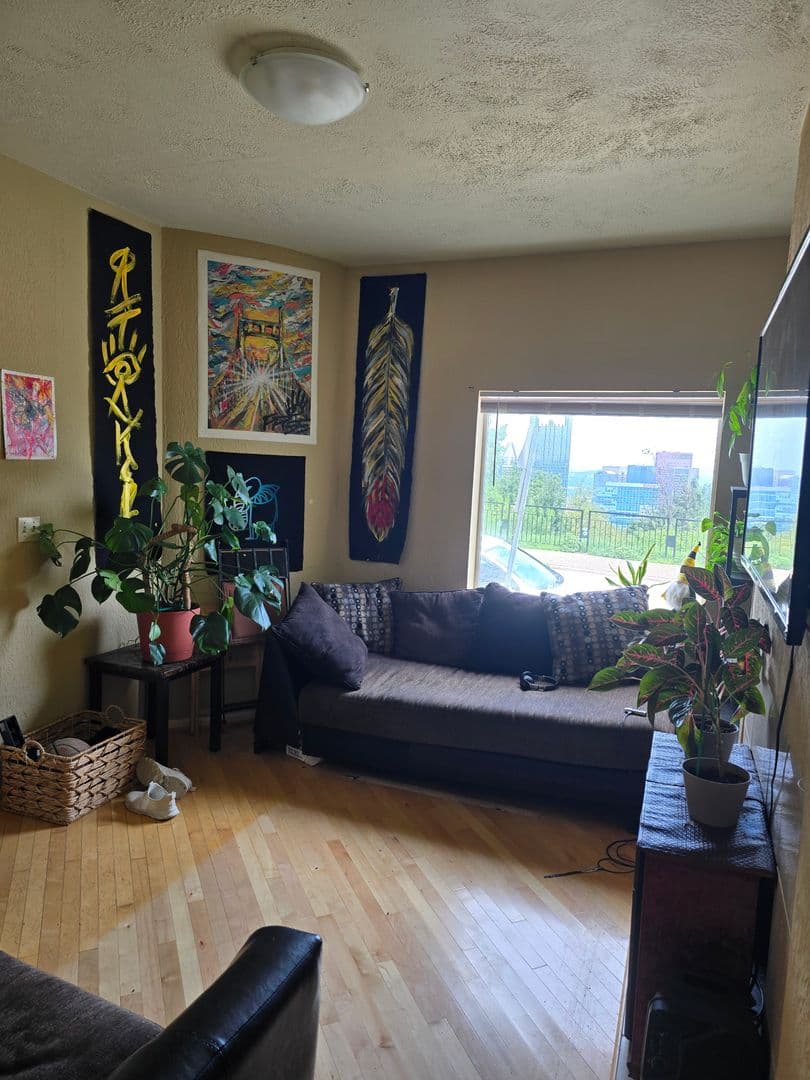 Pittsburgh Apartment: 203 Grandview Ave