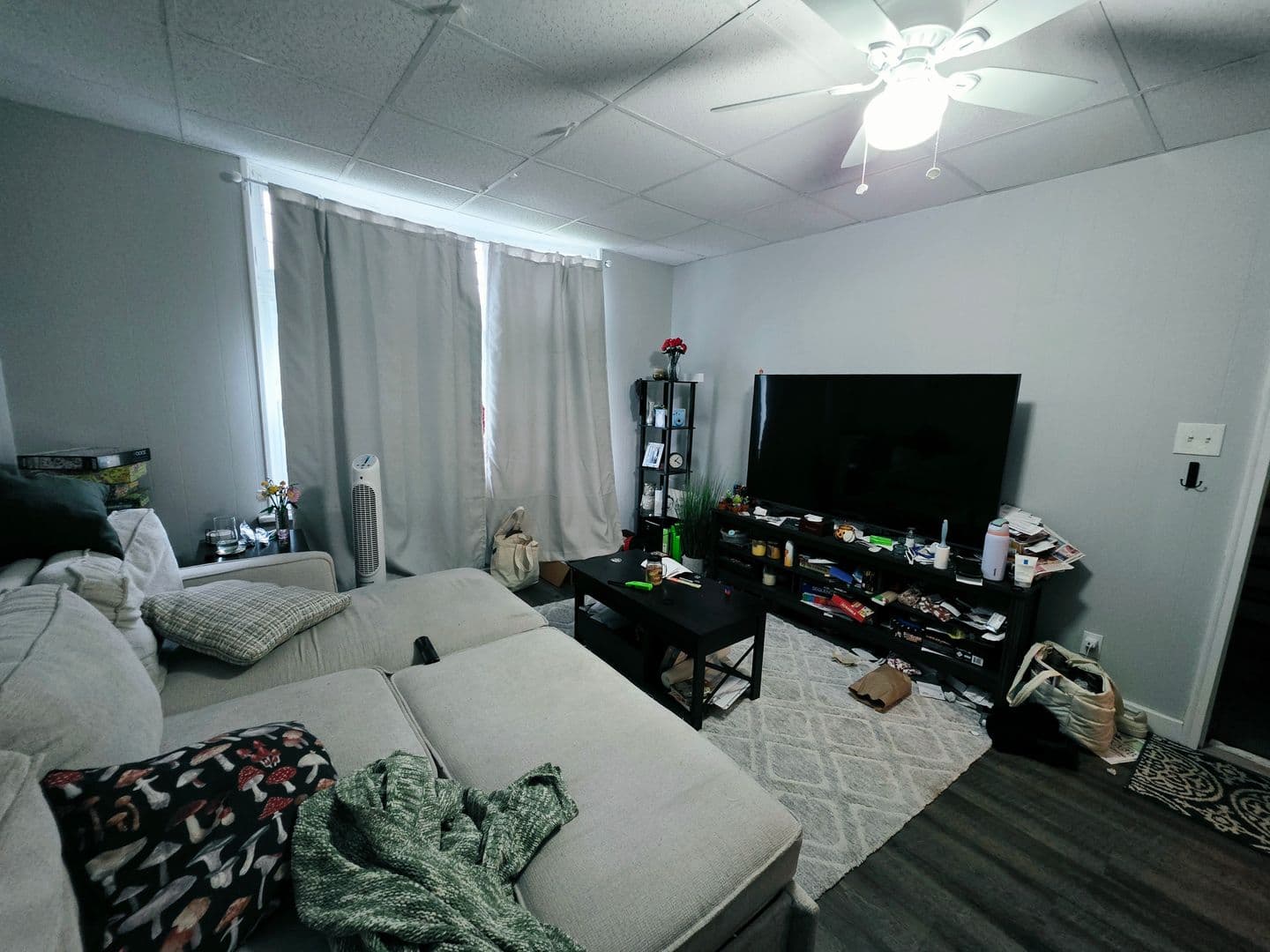 Pittsburgh Apartment: 43 S Fremont Ave