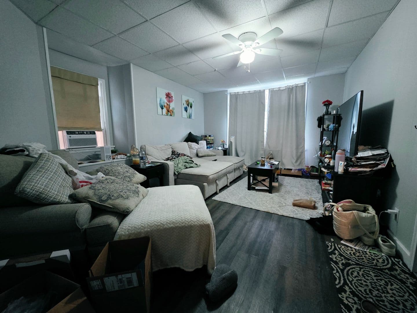 Pittsburgh Apartment: 43 S Fremont Ave
