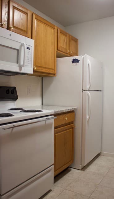 Ypsilanti Apartment: 119-125 Perrin Street