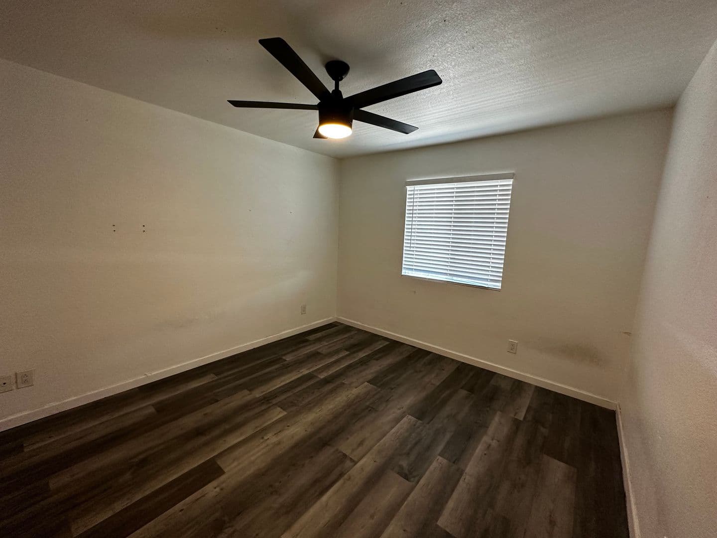 Phoenix Apartment: 2006 N 51st St