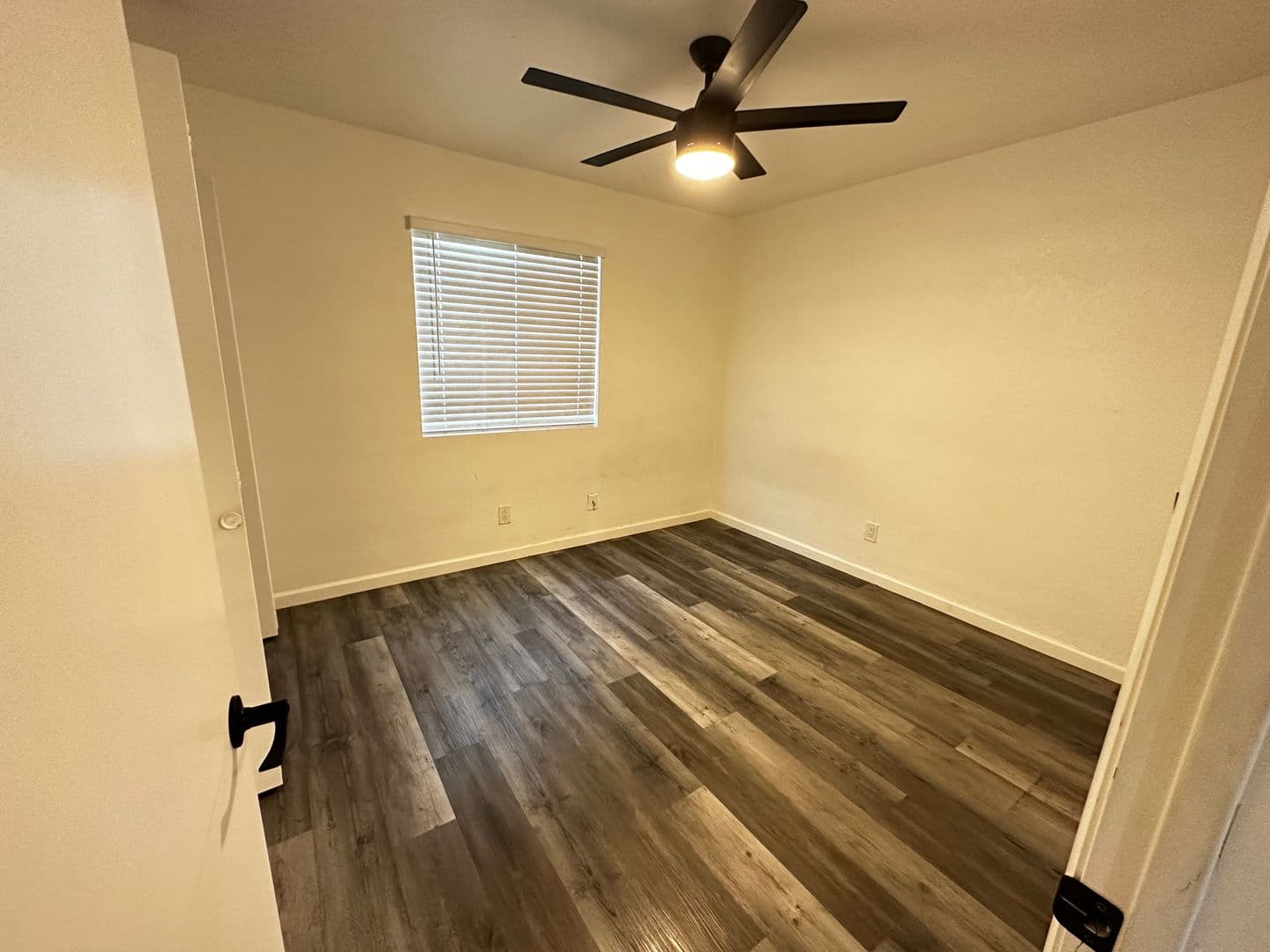 Phoenix Apartment: 2006 N 51st St
