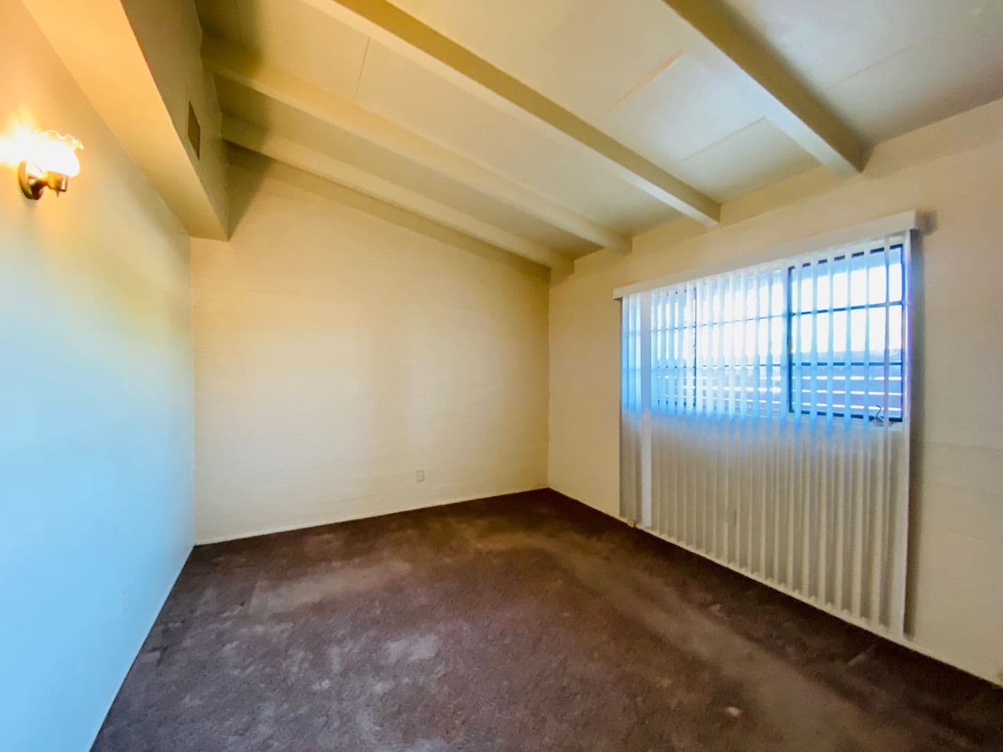 Tucson Apartment: 1429-1471 N Swan Rd