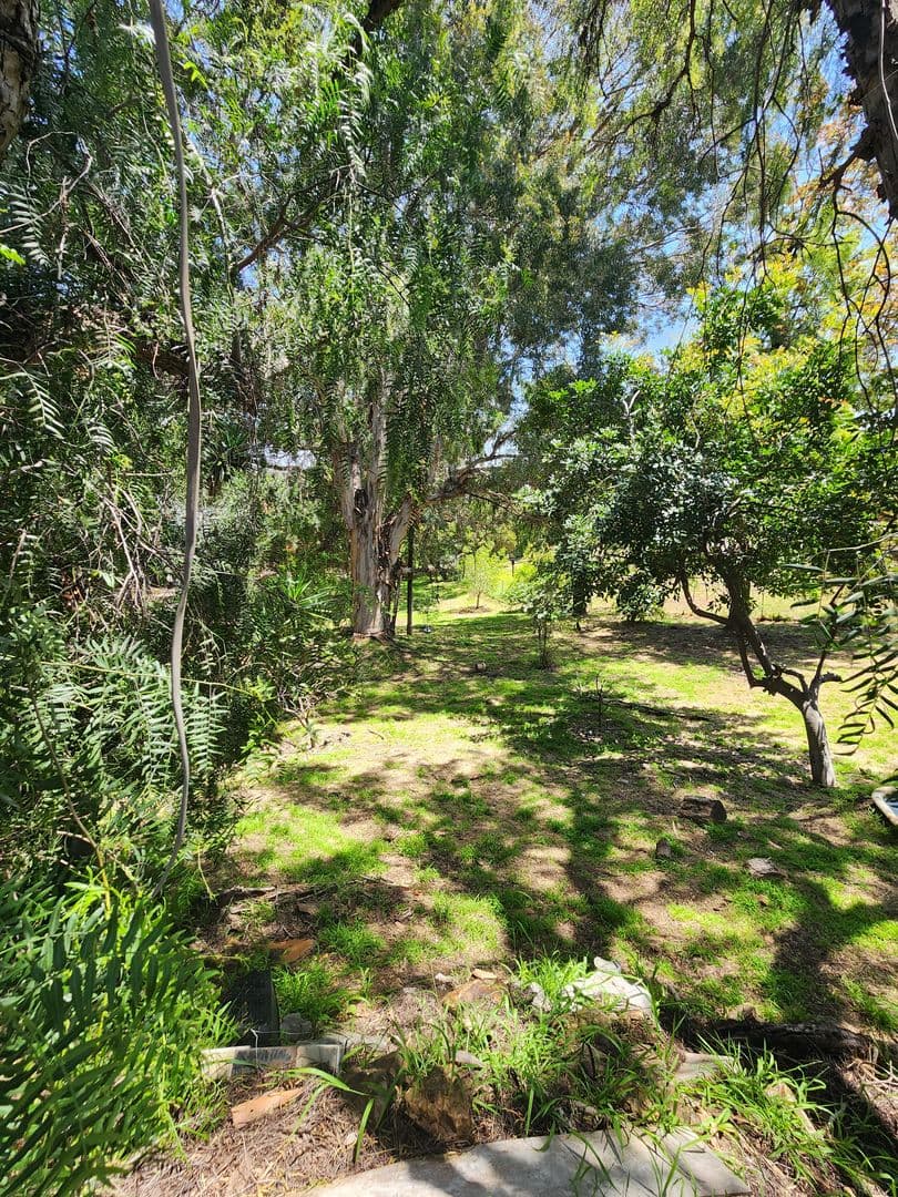 La Mesa Apartment: 3874 American Avenue