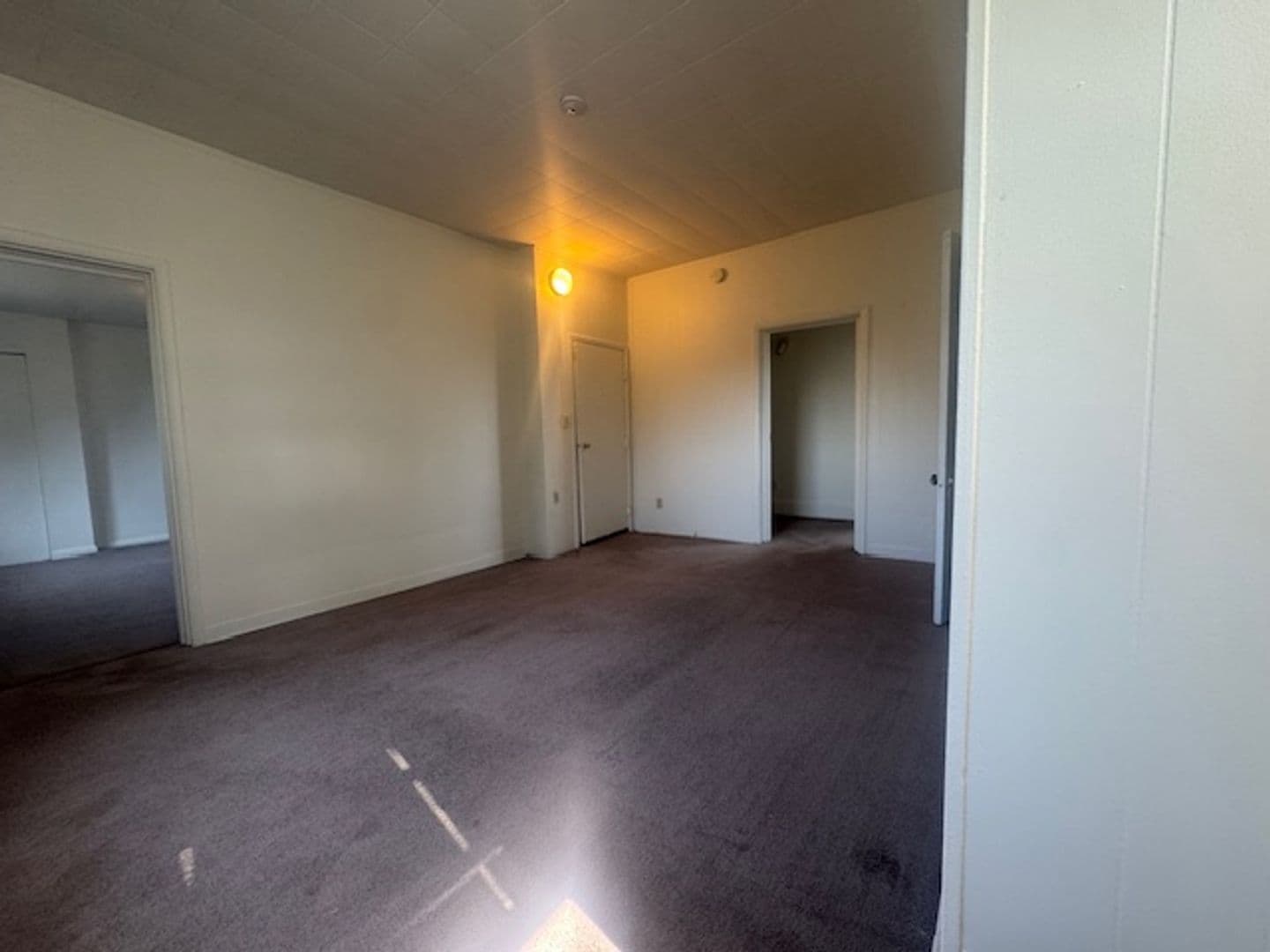 Pittsburgh Apartment: 4721 Maripoe Street