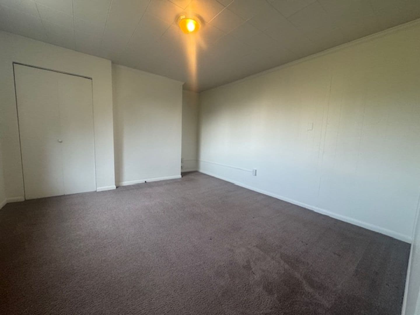 Pittsburgh Apartment: 4721 Maripoe Street