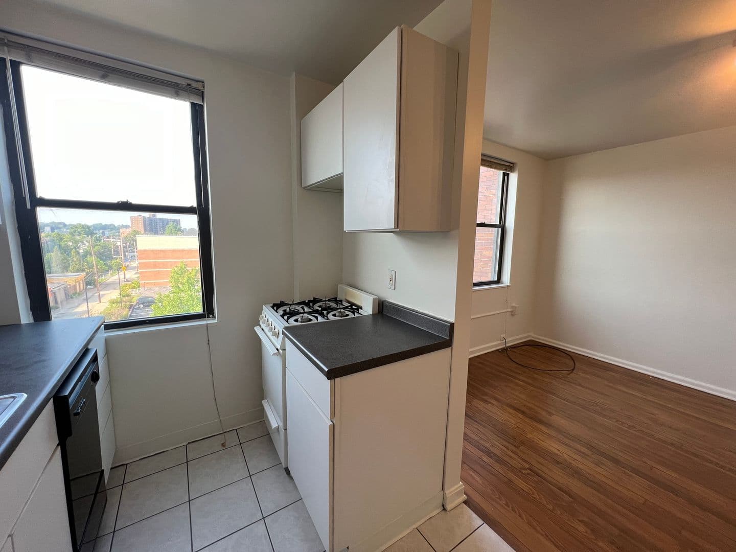 Pittsburgh Apartment: 147 S. Negley Avenue