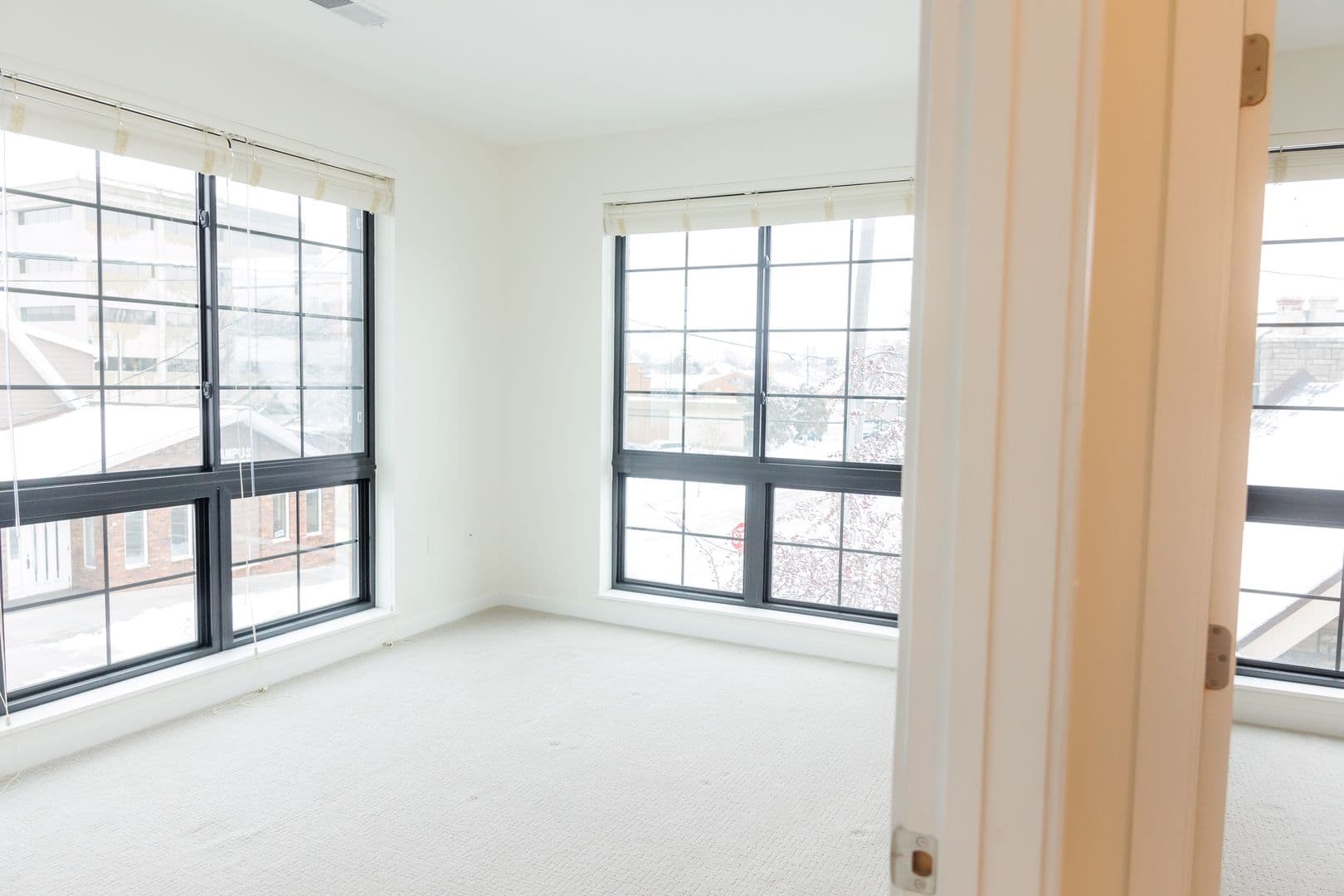 Appleton Apartment: 118 N Durkee Street