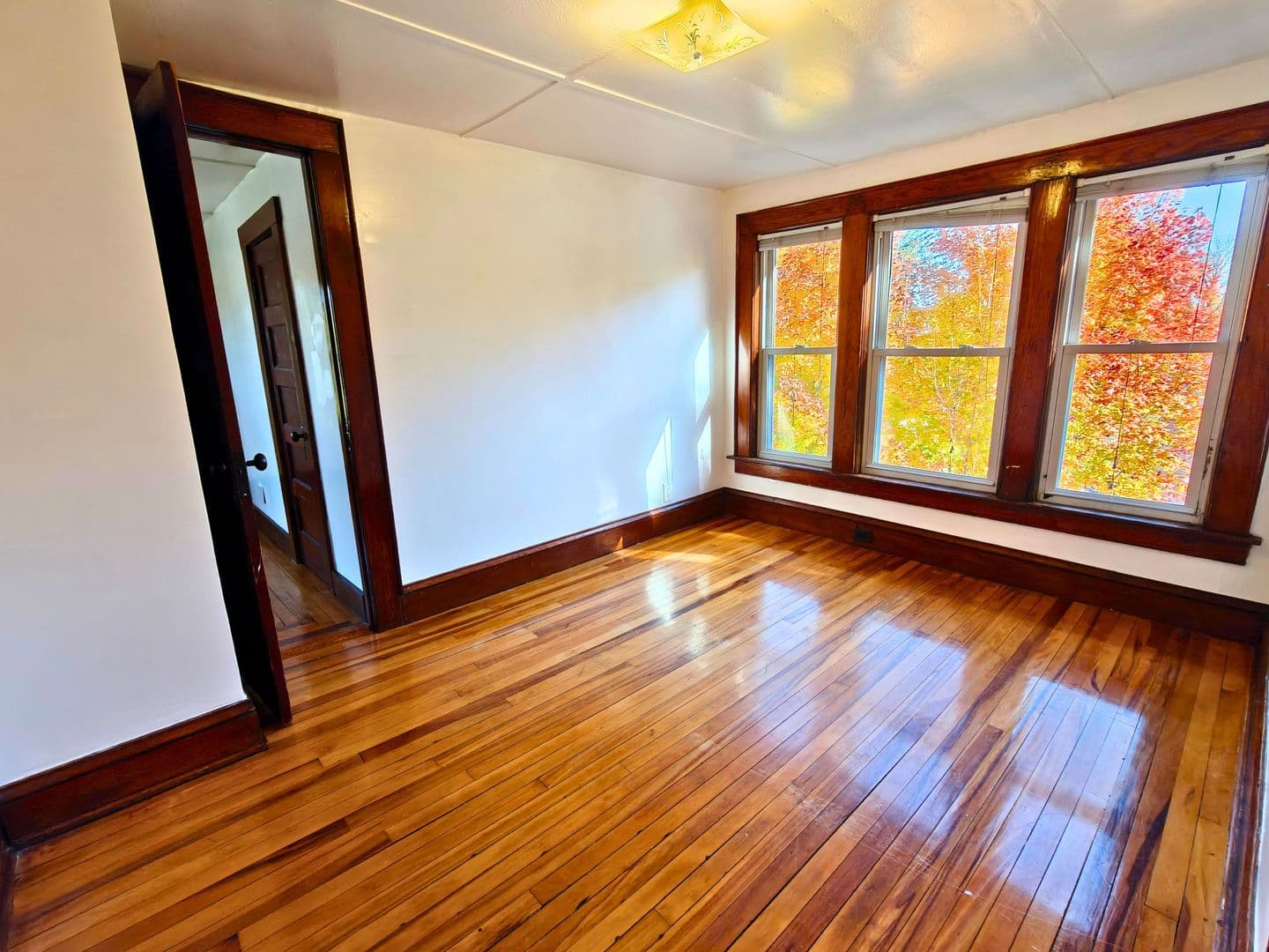 Westfield Apartment: 62 Granville Rd