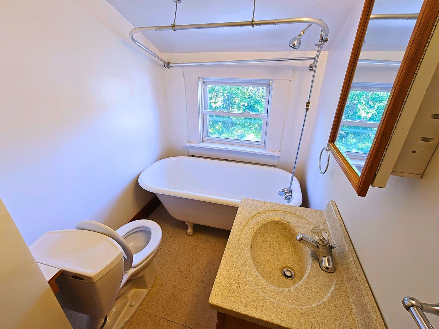 Westfield Apartment: 62 Granville Rd